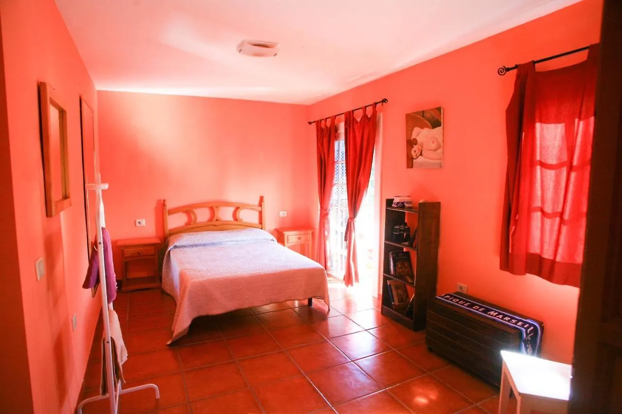 La Maison Du Surfeur Costa Adeje  Espanha
